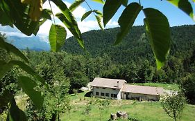 Bosco Delle Rune ..Un Angolo Di Paradiso