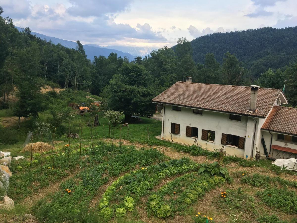 Bosco Delle Rune ..Un Angolo Di Paradiso Platischis Buitenkant foto