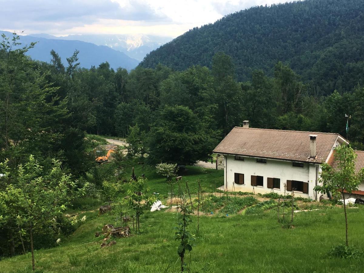 Bosco Delle Rune ..Un Angolo Di Paradiso Platischis Buitenkant foto